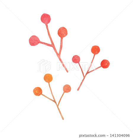 一根結滿紅色漿果的枝條(水彩插圖) 一根結滿紅色漿果的枝條(水彩插圖) 141304096