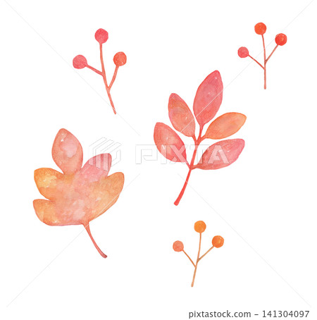 長著紅色漿果的葉子 - 水彩插圖 長著紅色漿果的葉子 - 水彩插圖 141304097