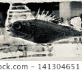 A monochrome world of fish trapped in ice. 141304651