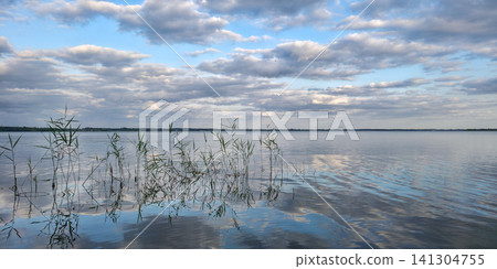 Still lake mirrors a soft cloudy sky around tall reeds, deeply calming water reflection. Concept of blue mind, mindfulness, mental health, and stress relief. Still lake mirrors a soft cloudy sky around tall reeds, deeply calming water reflection. Concept of blue mind, mindfulness, mental health, and stress relief. 141304755