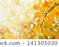 An illustrated image of autumn leaves and a painting canvas. 141305030