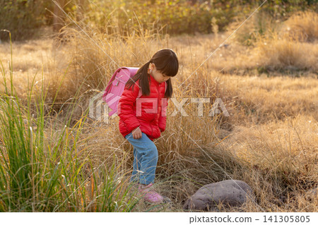 Full shot of a young school girl in a red puffer jacket and blue jeans carrying a large pink backpack, walking forward through tall dry grass and small rocks. Full shot of a young school girl in a red puffer jacket and blue jeans carrying a large pink backpack, walking forward through tall dry grass and small rocks. 141305805