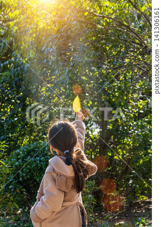 A back view of a young child holding up a yellow autumn leaf to the sun. A back view of a young child holding up a yellow autumn leaf to the sun. 141306161