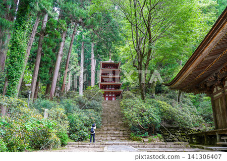 Tourists taking photos of the five-story pagoda at Murō-ji Temple in Uda City, Nara Prefecture, amidst the fresh greenery. Tourists taking photos of the five-story pagoda at Murō-ji Temple in Uda City, Nara Prefecture, amidst the fresh greenery. 141306407
