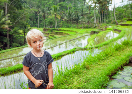 Blond boy stands near flooded green rice terraces in Bali, surrounded by tropical nature. A candid moment of cultural family travel and childhood exploration in Indonesia. Blond boy stands near flooded green rice terraces in Bali, surrounded by tropical nature. A candid moment of cultural family travel and childhood exploration in Indonesia. 141306885