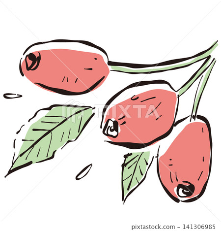 Rose hip Rose hip 141306985