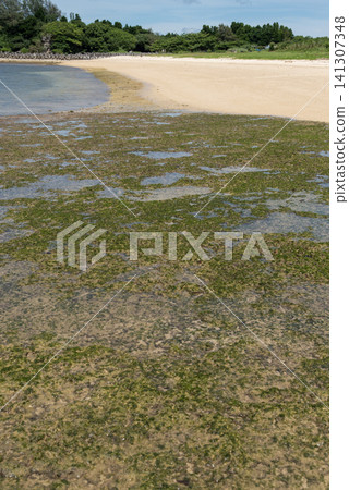 A coastline with white sandy beaches and moss growing on the rocky surfaces. A coastline with white sandy beaches and moss growing on the rocky surfaces. 141307348