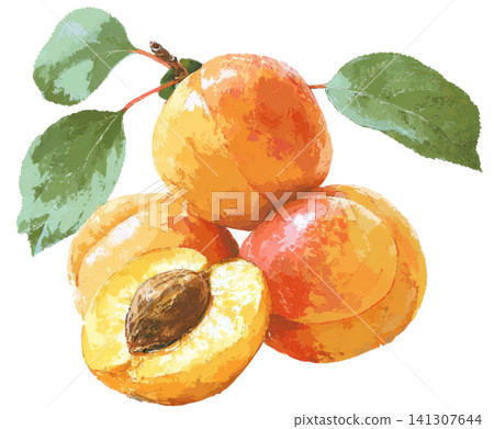 Apricot Apricot 141307644