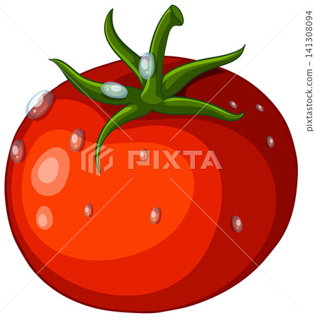 Fresh Red Tomato Vector Illustration with Green Stem and Water Droplets Fresh Red Tomato Vector Illustration with Green Stem and Water Droplets 141308094