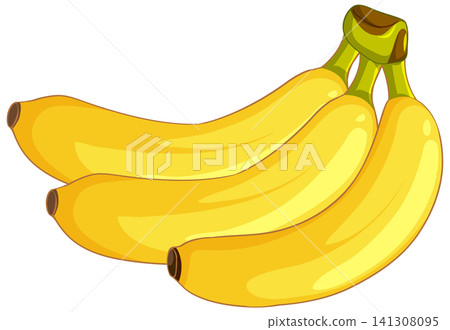Ripe Yellow Banana Bunch Vector Illustration on White Background Ripe Yellow Banana Bunch Vector Illustration on White Background 141308095