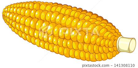 Fresh Yellow Corn on the Cob Vector Illustration on White Background Fresh Yellow Corn on the Cob Vector Illustration on White Background 141308110