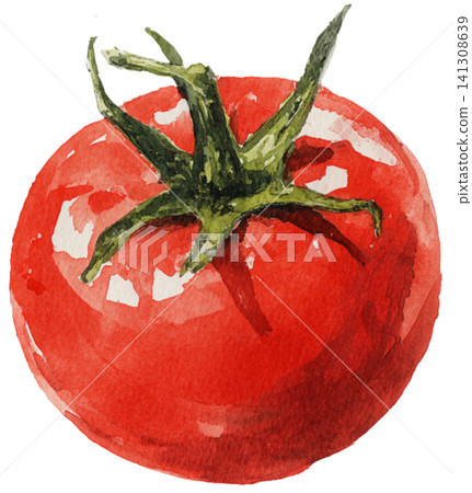 tomato tomato 141308639