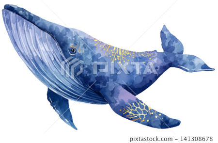 whale whale 141308678