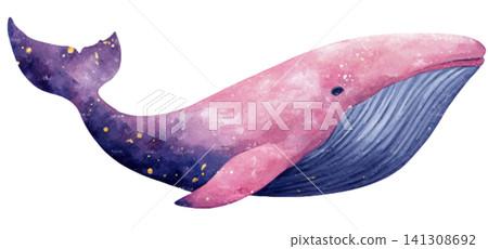 whale whale 141308692