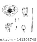 Anemone flower with delicate petals, buds and stem with leaf. Hand drawn vector line art. Black and white Floral set. Outline Illustration for packaging, tattoos and spring design. Isolated on white 141308748