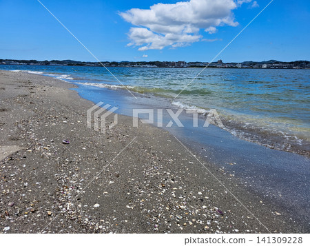 在猿島拍攝的海灘和大海照片 141309228