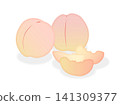 Juicy peach illustration 141309377