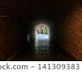 A tunnel photographed at Sarushima Fortress 141309383