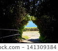 The sea visible through the forest, photographed on Sarushima Island. 141309384