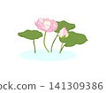 An illustration of lotus flowers and leaves floating on water. 141309386