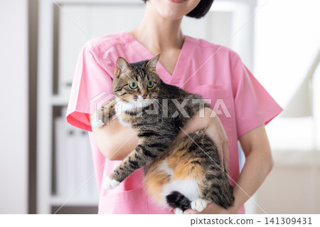 A cat being held by a veterinarian. 141309431
