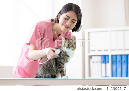 Veterinarian, a veterinarian who examines cats. Veterinarian, a veterinarian who examines cats. 141309547