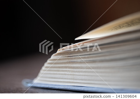 Pages of an open book with shallow depth of field, highlighting knowledge and education Pages of an open book with shallow depth of field, highlighting knowledge and education 141309604