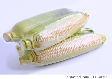 Corn, wrapped white corn Corn, wrapped white corn 141309669