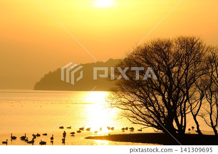 A sunset view of Lake Biwa and Chikubu Island. A sunset view of Lake Biwa and Chikubu Island. 141309695