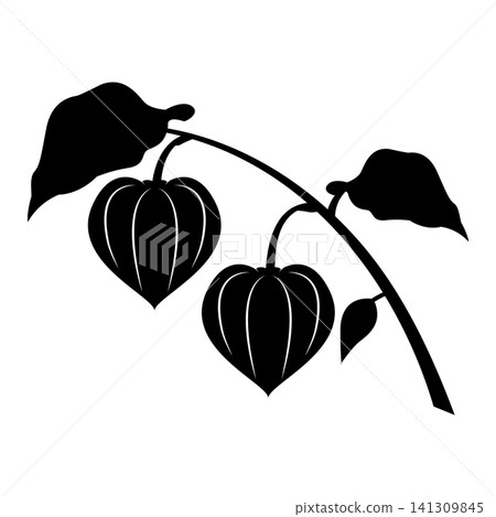 A simple silhouette illustration of a Chinese lantern plant. A simple silhouette illustration of a Chinese lantern plant. 141309845