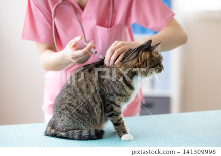 Veterinarian: Cats that have received vaccinations Veterinarian: Cats that have received vaccinations 141309998