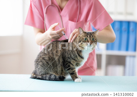 Veterinarian: Cats that have received vaccinations Veterinarian: Cats that have received vaccinations 141310002
