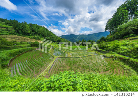 [Tokushima] Landscape of Kamikatsu Town 141310214