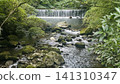 Clear stream flowing through the mountain 141310347