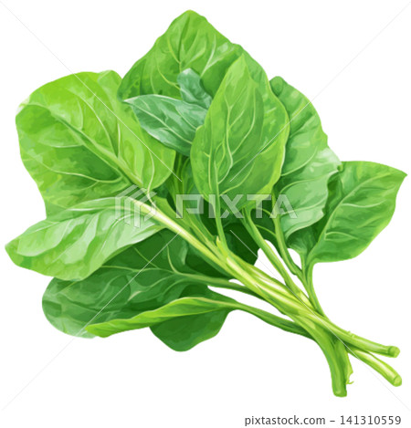 spinach spinach 141310559