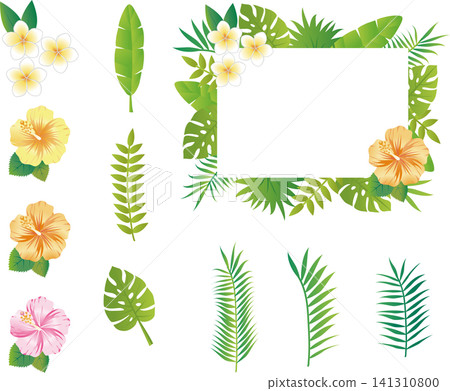 Summer, plants, flowers, tropical, southern country, hibiscus, plumeria, leaves, green, decoration, illustration, design material Summer, plants, flowers, tropical, southern country, hibiscus, plumeria, leaves, green, decoration, illustration, design material 141310800