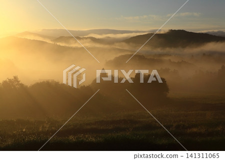 在早晨的陽光下染色 在早晨的陽光下染色 141311065