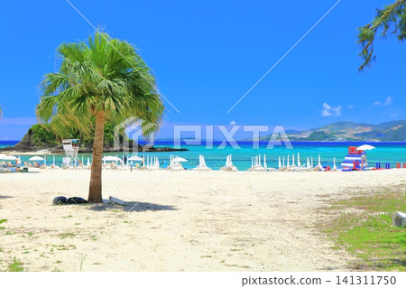 [Okinawa Prefecture] Busena Beach (Busena Marine Park) under clear skies 141311750