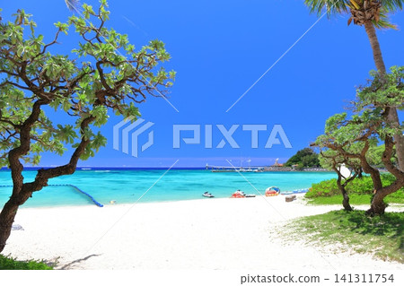 [Okinawa Prefecture] Busena Beach (Busena Marine Park) under clear skies 141311754