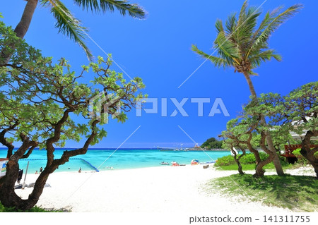 [Okinawa Prefecture] Busena Beach (Busena Marine Park) under clear skies 141311755