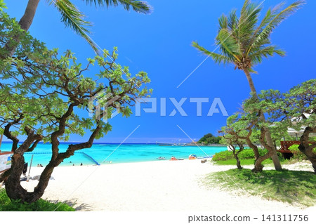 [Okinawa Prefecture] Busena Beach (Busena Marine Park) under clear skies 141311756