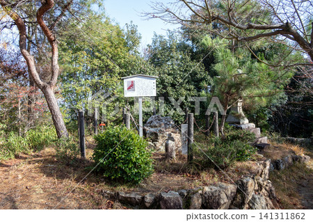 Yamazaki Castle Ruins, Flag-Raising Pine Tree on the Mountainside Yamazaki Castle Ruins, Flag-Raising Pine Tree on the Mountainside 141311862