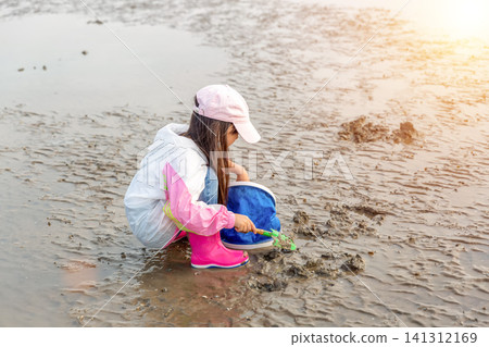 Little girl crouching on a muddy beach at low tide, clam digging with a blue net and shovel. Little girl crouching on a muddy beach at low tide, clam digging with a blue net and shovel. 141312169