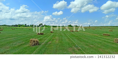 Rectangular hay bales scattered on a green grass field under a cloudy sky Rectangular hay bales scattered on a green grass field under a cloudy sky 141312232
