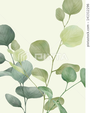 植物背景:楊桉 植物背景:楊桉 141312296