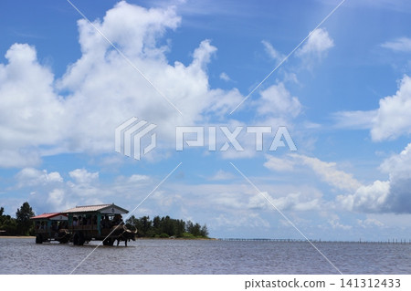 Okinawa (Ishigaki Island) by Ox Cart Okinawa (Ishigaki Island) by Ox Cart 141312433