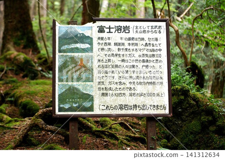 [Fujikawaguchiko Town, Fuji-Hakone-Izu National Park, Nationally Designated Natural Monument "Fugaku Wind Cave" Fuji Lava Information Board] 141312634
