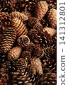 Various pine cones - Autumn/Winter theme 141312801