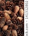 Various pine cones - Autumn/Winter theme 141312802