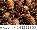 Various pine cones - Autumn/Winter theme 141312803